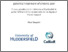 [thumbnail of FINAL THESIS - Despatin.pdf]